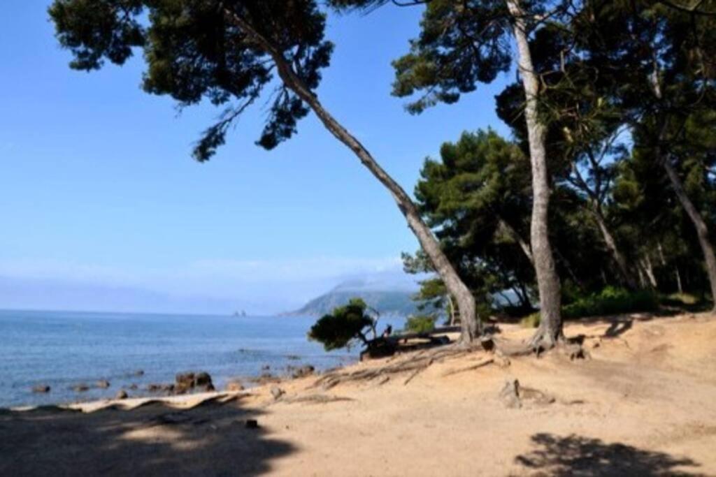 Studio Zen Sud Plage A Pied Pin Rolland Sablettes Saint-Elme エクステリア 写真